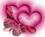 bienvenue sur mon blog